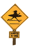 surfxing